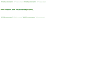 Tablet Screenshot of alasco.de
